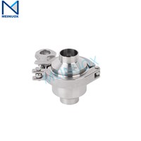 Welded check valve